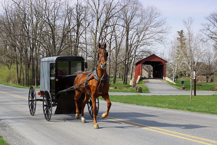 Amish buggy with horses in Lancaster County, PA